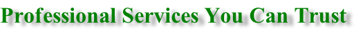 Professional Services You Can Trust